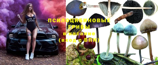 a pvp Арсеньев
